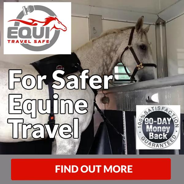 Equi Travel Safe- For Safer Equine Travel