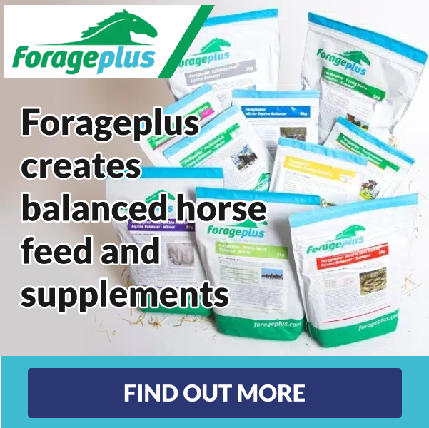Forageplus – Whole Horse Health