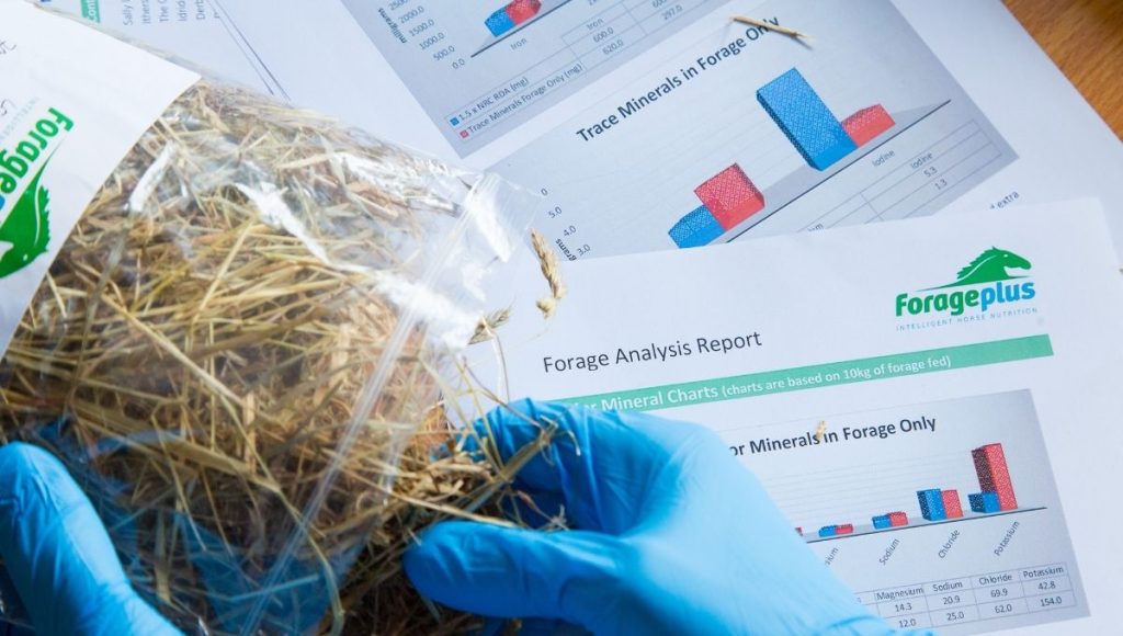 Forage Analysis Testing