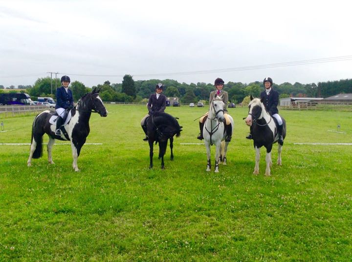 Bromyard and District Riding Club The Horse Life