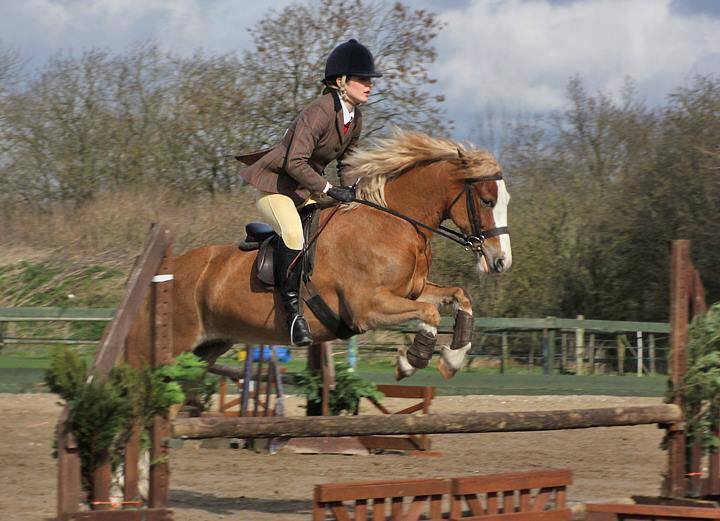 Polegate Horse Riding Hargate Equestrian Centre - The Horse Life