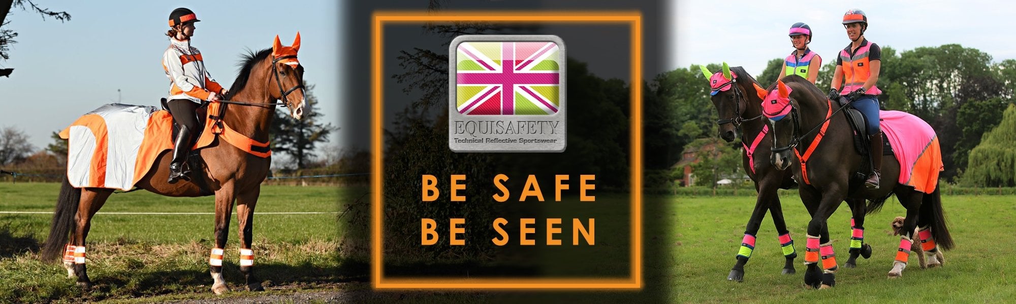 Fearns Farm The Horse Life