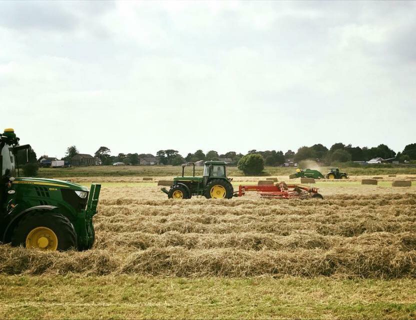 Fearns Farm The Horse Life