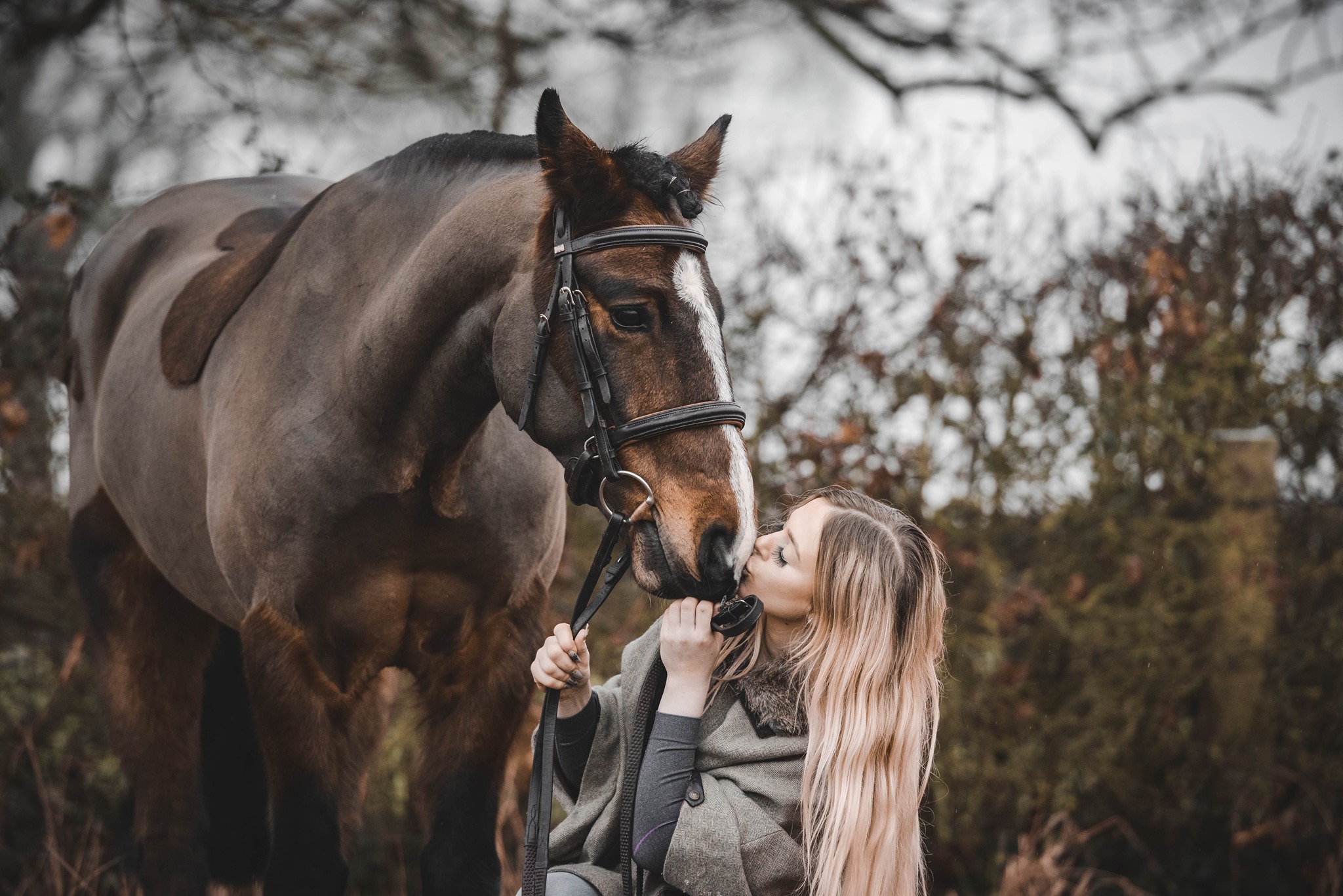 Chloe Windle Photography - The Horse Life