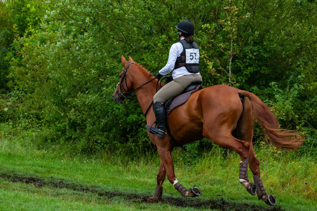 Horse Riding and Horse Riding Schools