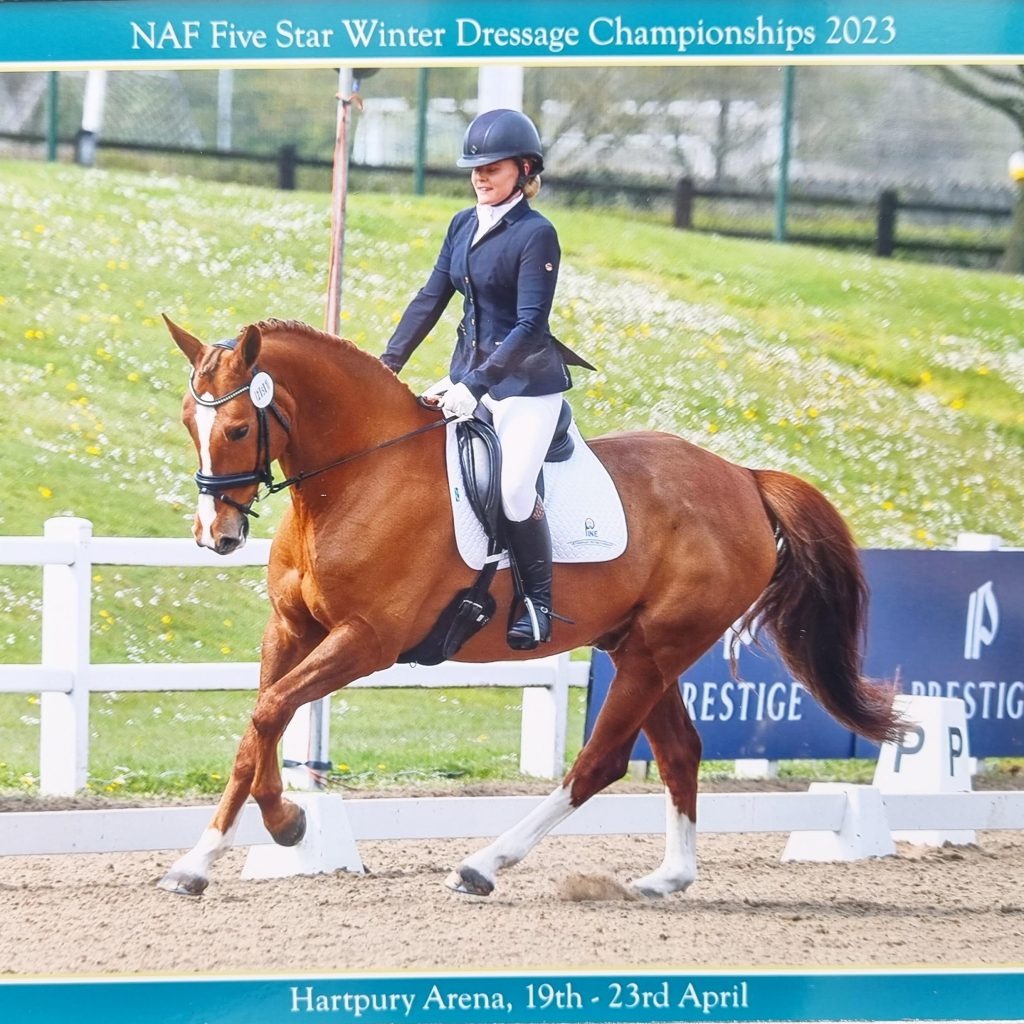 British Dressage National Winter Championships The Horse Life