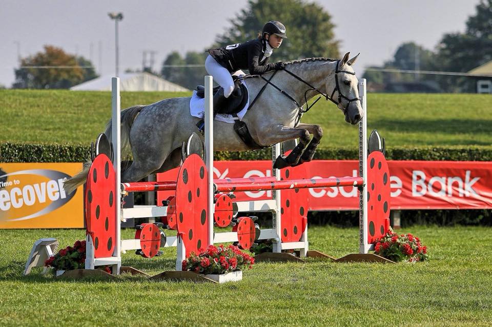 Newquay Riding Club The Horse Life