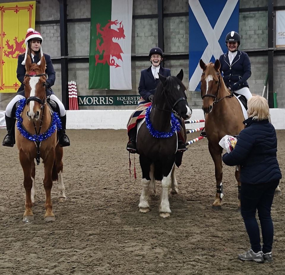 Ayr Riding Club The Horse Life