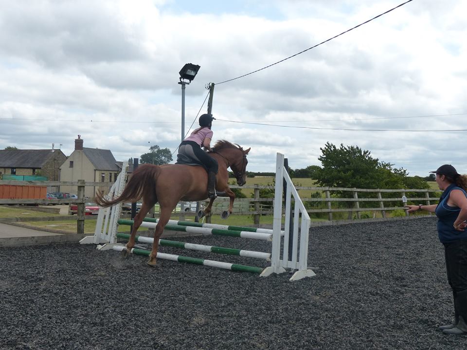 Milton Keynes Riding Club The Horse Life