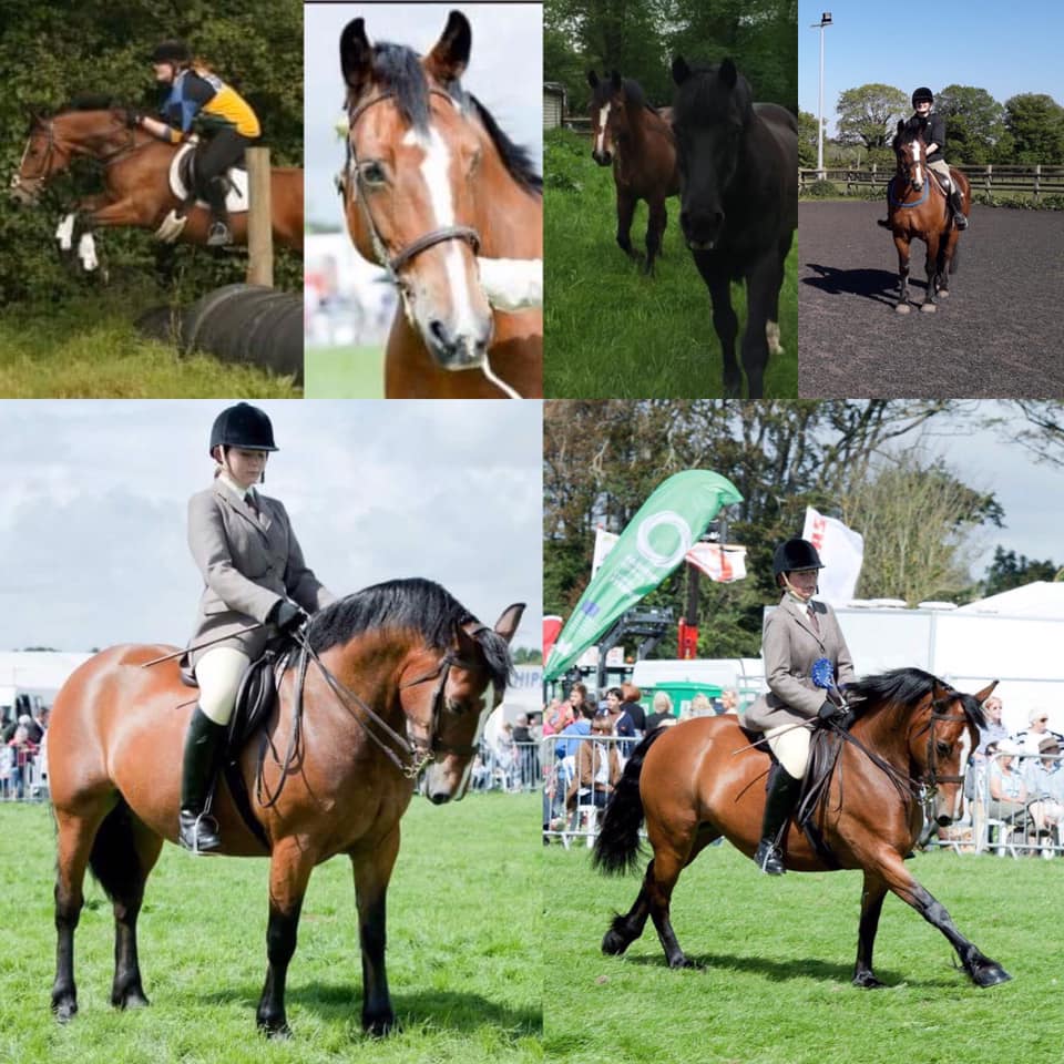 Cardiff Riding Centre The Horse Life