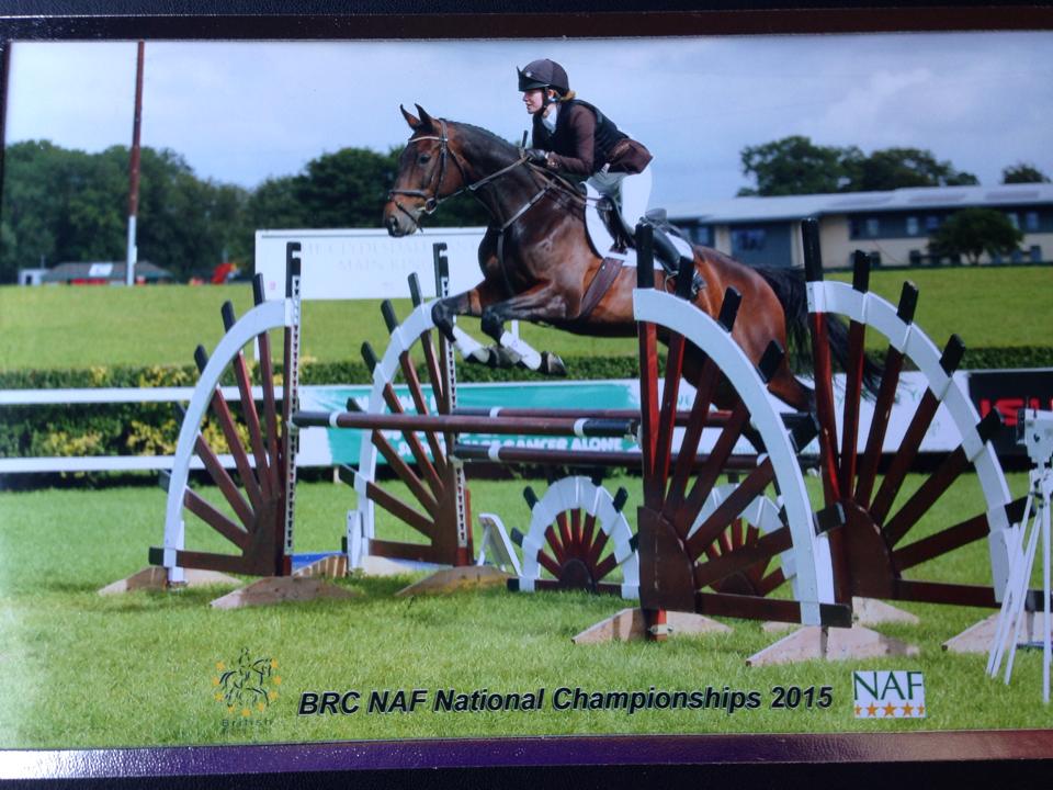 Malton and District Riding Club The Horse Life