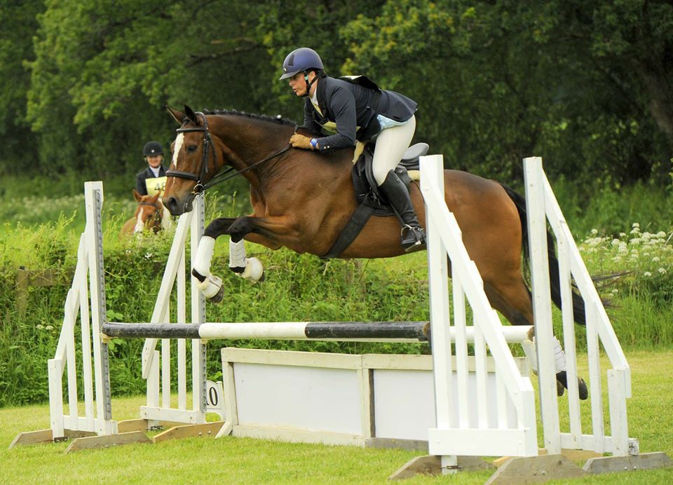 Mid Devon Riding Club The Horse Life