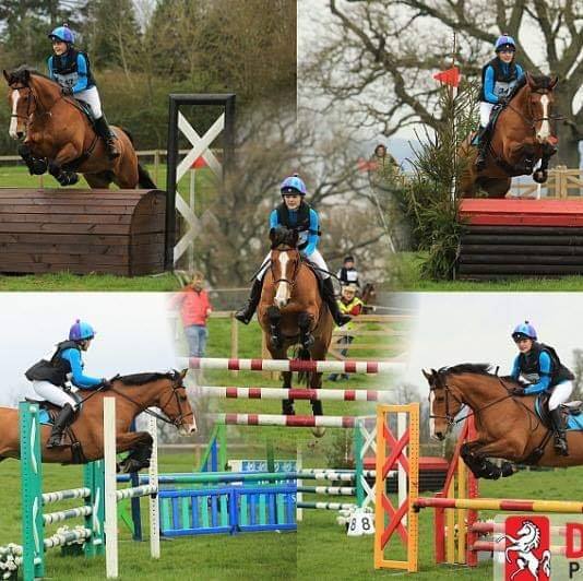 Mid Somerset Riding Club The Horse Life