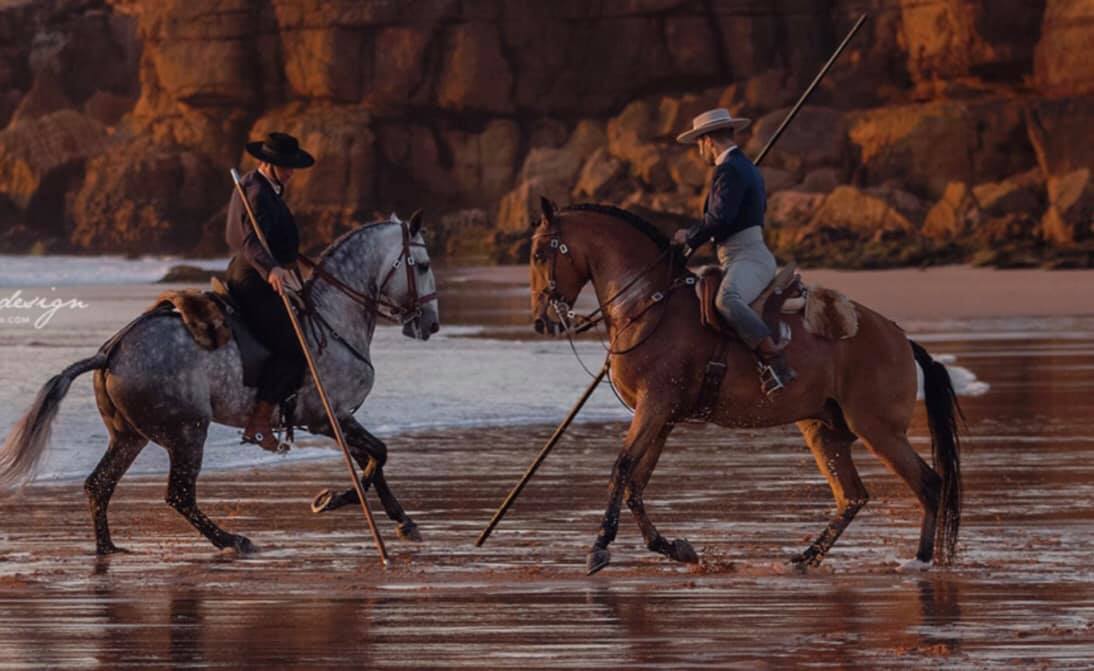 The Baroque and Iberian Equine Store The Horse Life