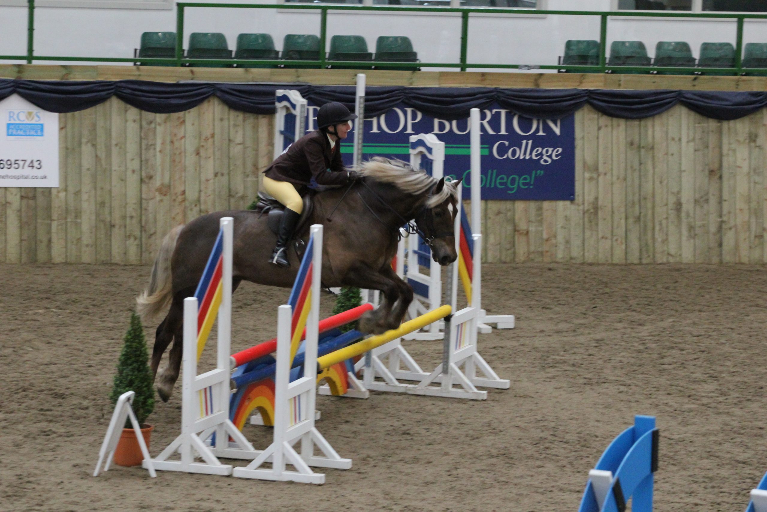 Nidd Valley Riding Club The Horse Life
