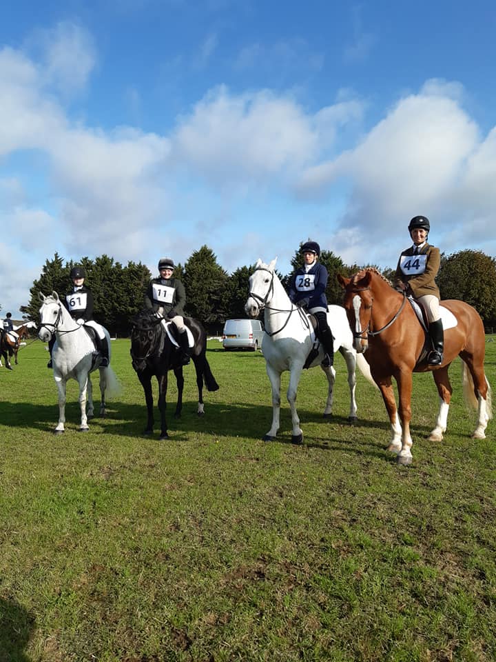 Hailsham Equestrian Club The Horse Life