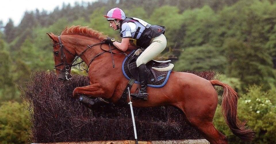 Ruth Clark Equestrian