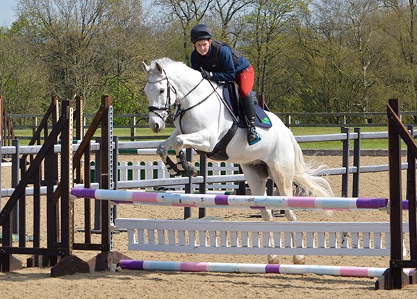 Flint and Denbigh Riding Club - The Horse Life